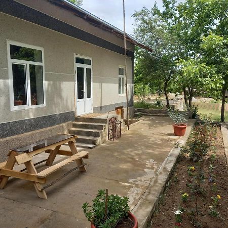 Forest Guest House Mirzakishlak Extérieur photo