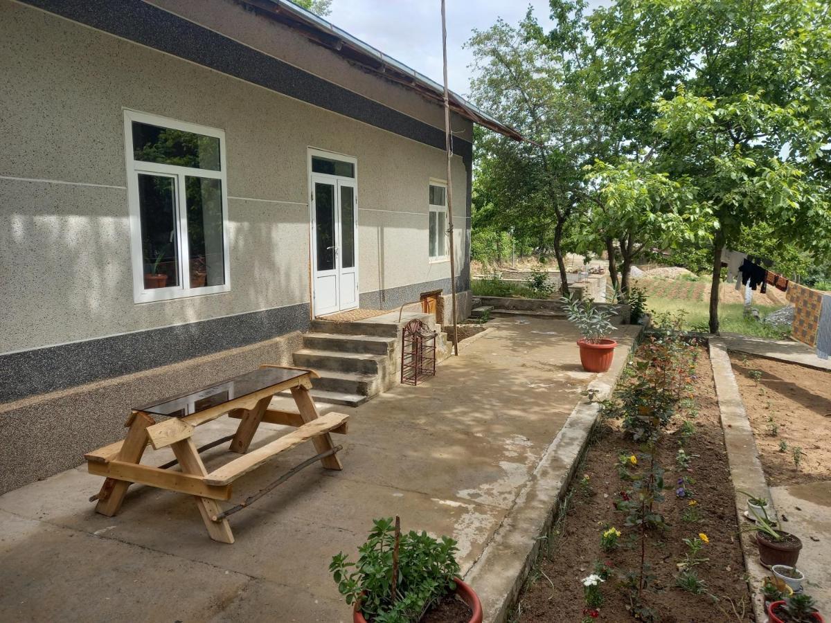 Forest Guest House Mirzakishlak Extérieur photo