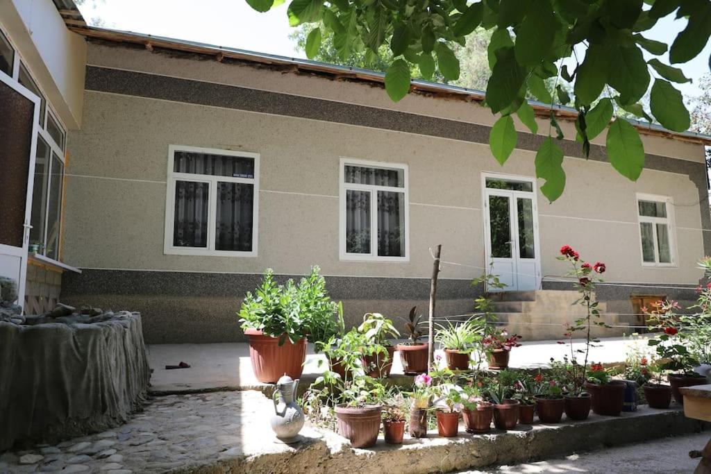 Forest Guest House Mirzakishlak Extérieur photo